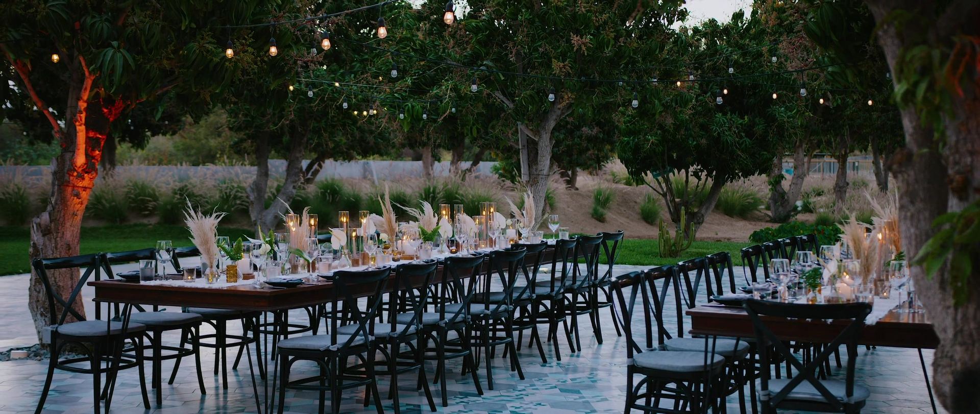 The long reception table set out under the trees, string lights strung above it.