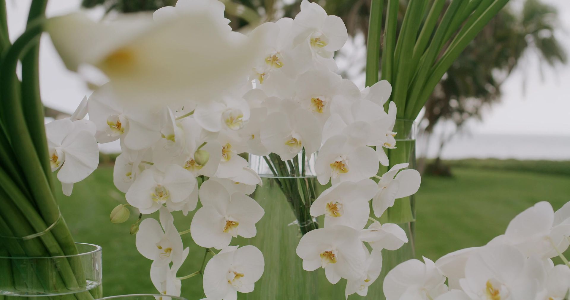 White orchids and a single calla lily in glass cylinders, palms and a strip of sea soft behind them.