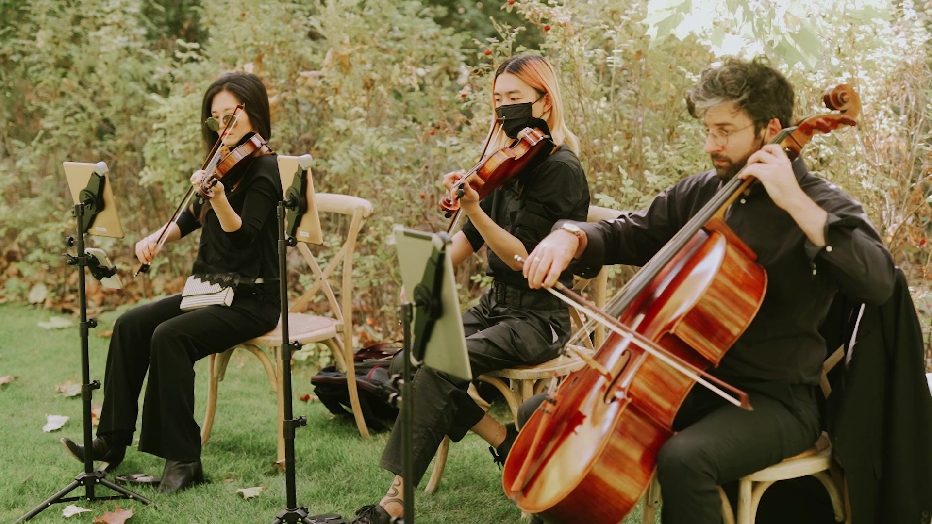 A string trio playing on the lawn, two violinists and a cellist seated among the greenery.