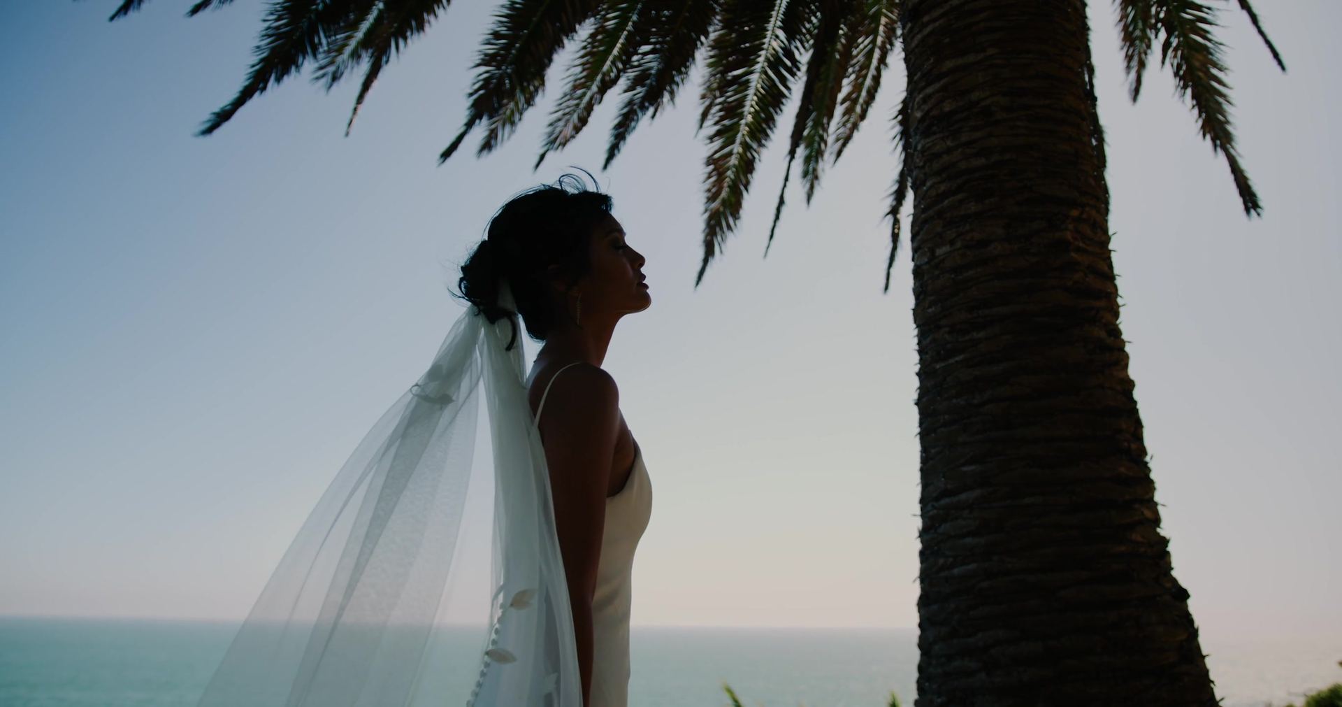 Katrina in profile beneath a palm, her veil lifting against the sky, the ocean below.