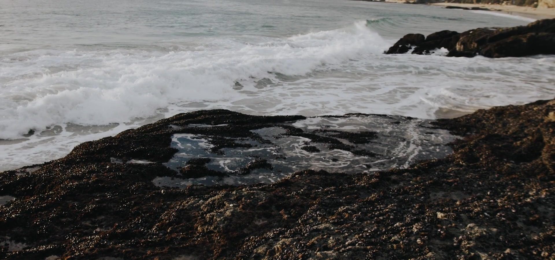 Surf breaking over dark rock along the shoreline, a sandy beach and houses beyond.