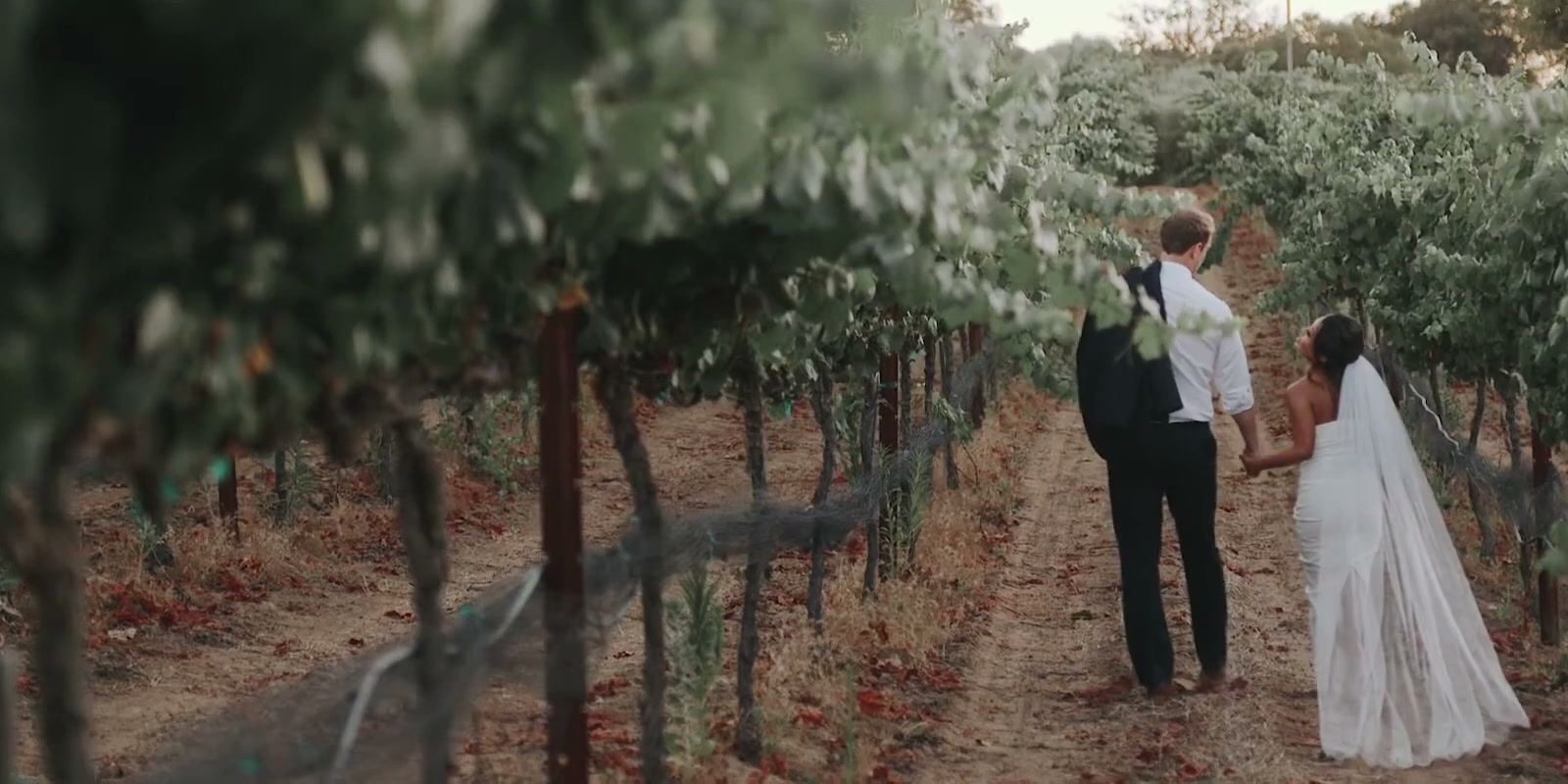 Keshiia and Kevin walking hand in hand between rows of vines, seen past leaves in the foreground.