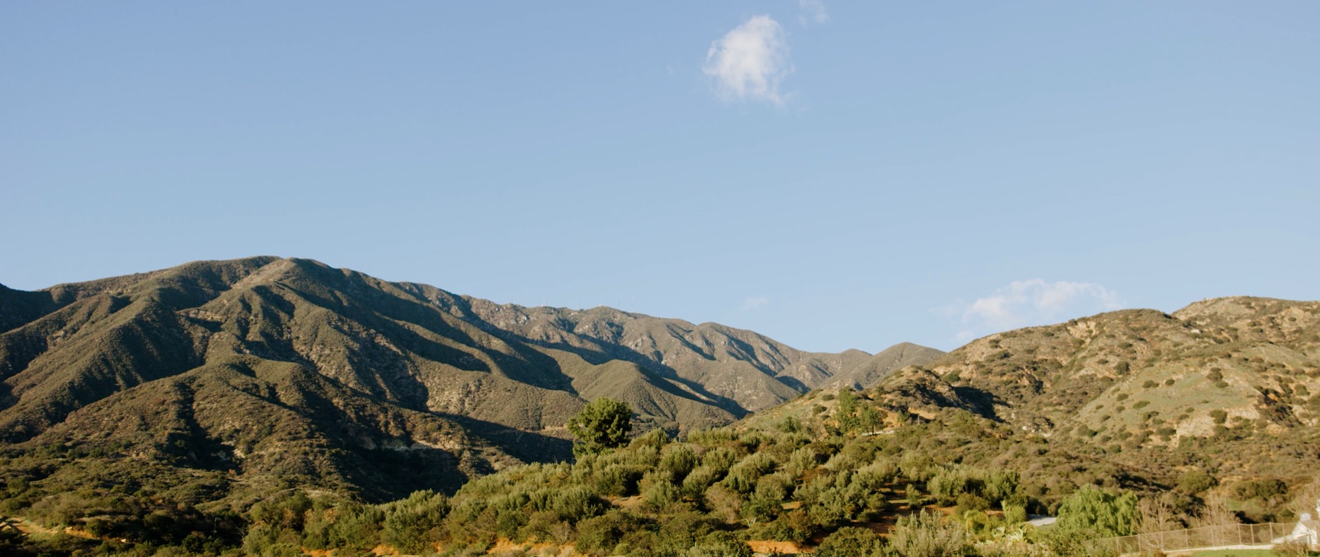The San Gabriel Mountains rising above the olive groves at Padua Hills Theatre in Claremont, California