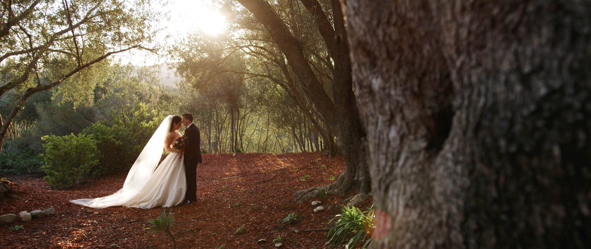 Bride and groom in the oak grove at Padua Hills Theatre at golden hour, backlit by the sun in the San Gabriel foothills