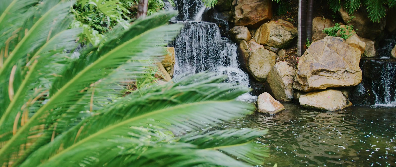 A still from Hugo & Helen's wedding film at Grand Tradition Estate and Gardens