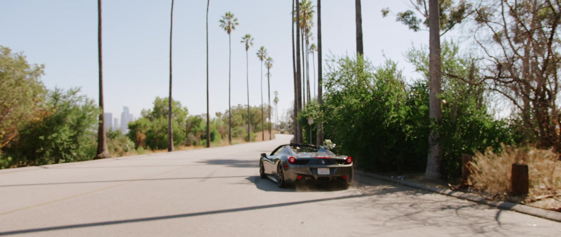 The car heading away down a palm-lined street.