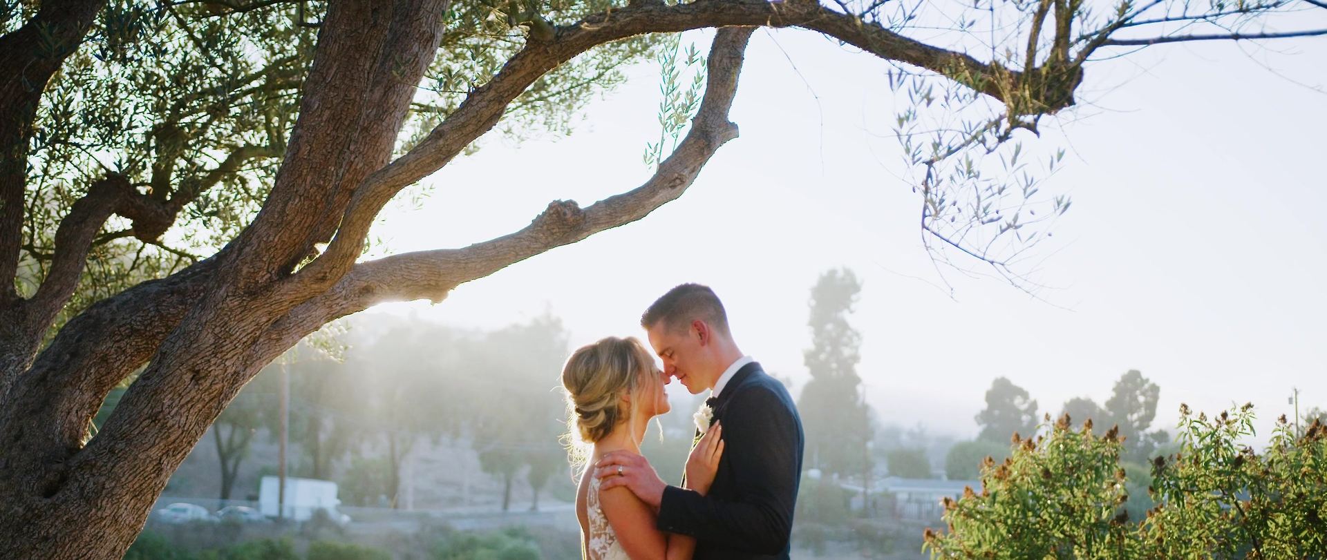 Teddy and Lindsay forehead to forehead beneath an olive tree, backlit by low sun, hazy hills and rooftops behind.